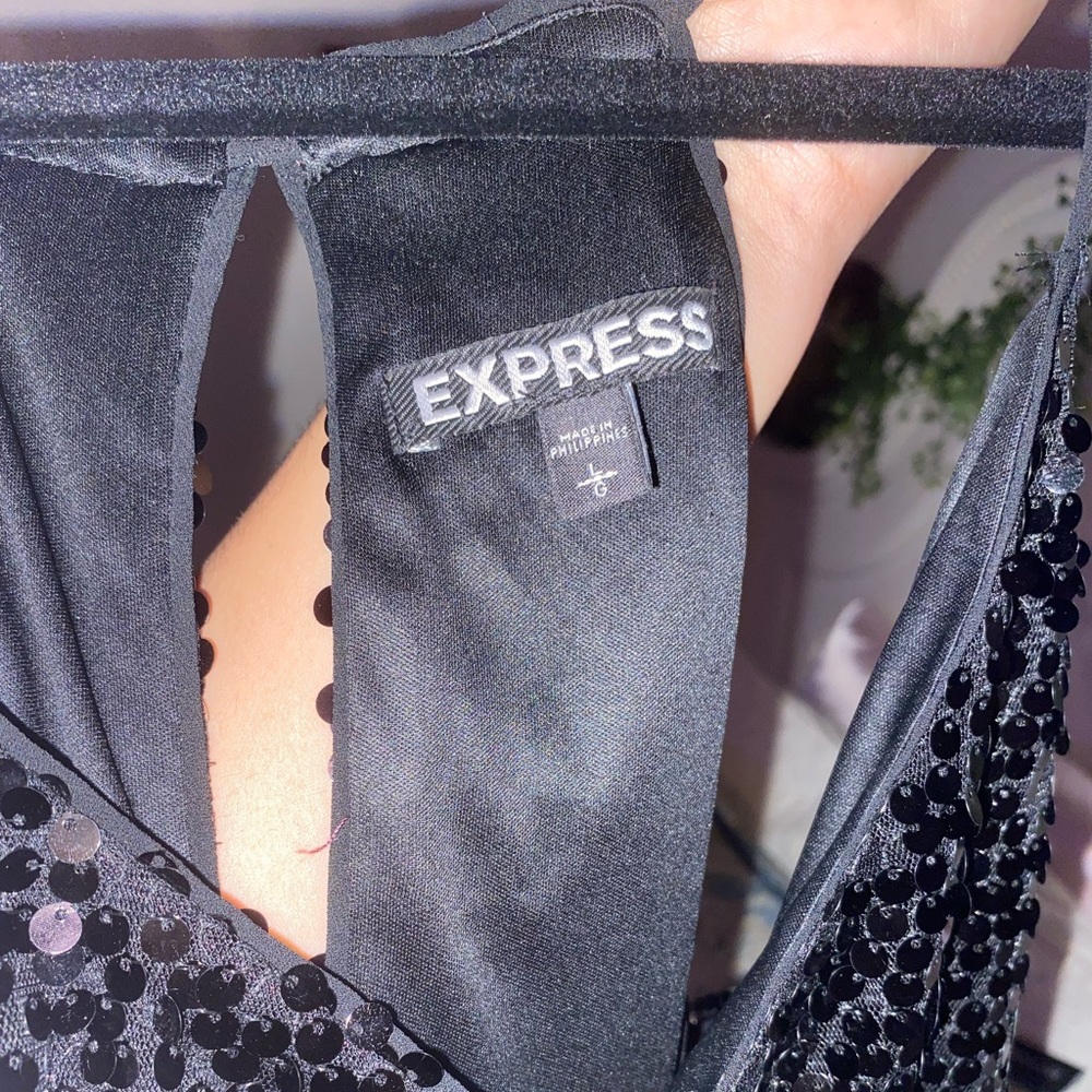 Express Prom Shimmer Dress - Picture 8 of 8